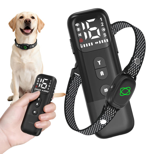 2-in-1 Anti Bark Collar & Remote Training (No Shock)